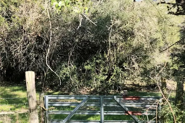 Gated acreage at Tbd Fm-3283 in Hallettsville, Texas