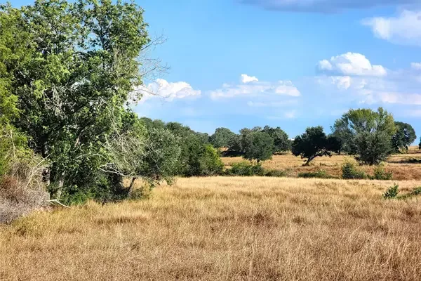 Open Texas acreage at Tbd Fm 318 in Hallettsville, Texas
